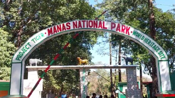 Tiger population on the rise in Manas National Park, tourists flock to the World Heritage Site
