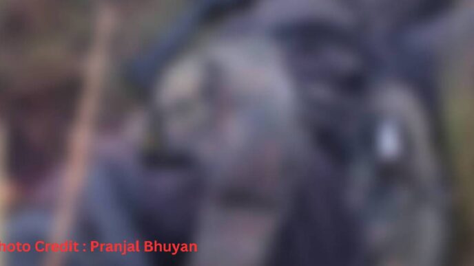 One ULFA (I) cadre killed in Namsai encounter; security forces launch massive search operation