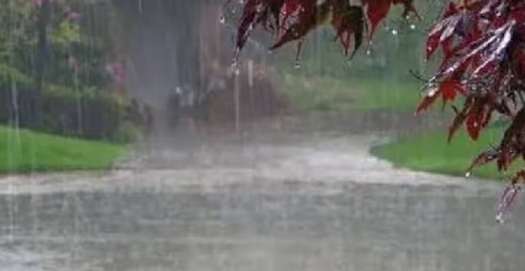 IMD issues orange alert for heavy rain in western Assam