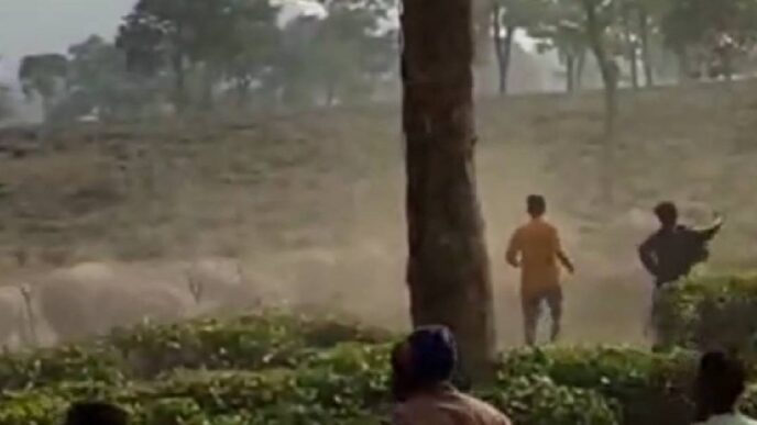 Government's ‘Gaja Mitra’ stalls, human–elephant conflict worsens near Kaziranga