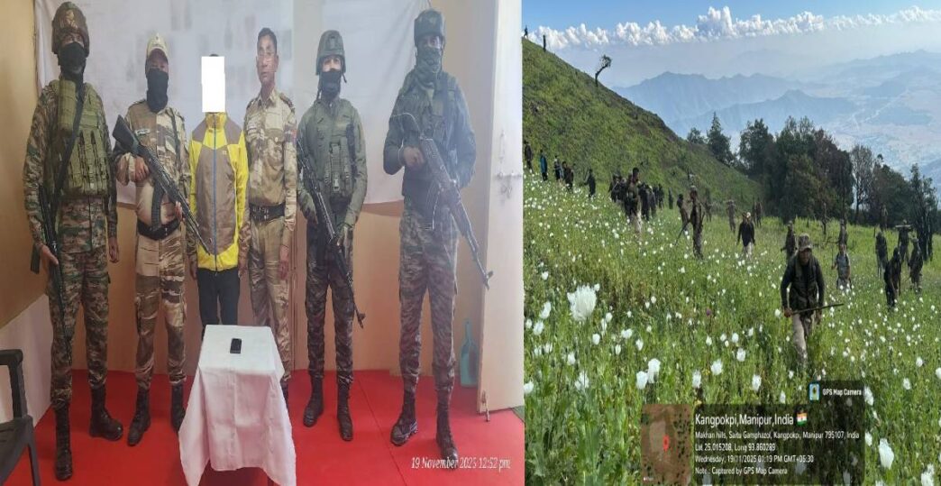 Security forces arrest PREPAK cadre, destroy large poppy cultivation in Manipur