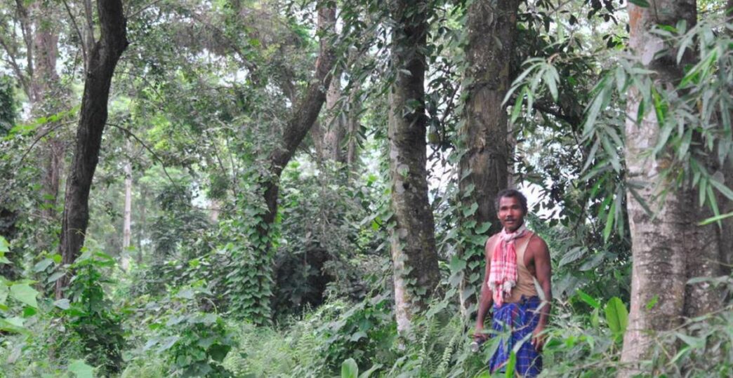 Arson attack devastates ‘Forest Man’ Jadav Payeng’s Molai forest in Assam