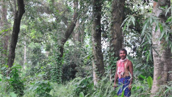 Arson attack devastates ‘Forest Man’ Jadav Payeng’s Molai forest in Assam