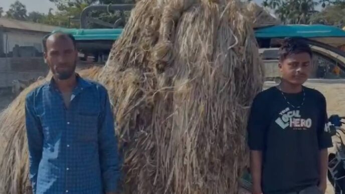 Jute crisis chokes western Assam: Farmers stranded as BJP government remains silent