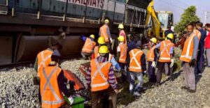 Elephant death toll rises to eight after Rajdhani train hits herd in Assam