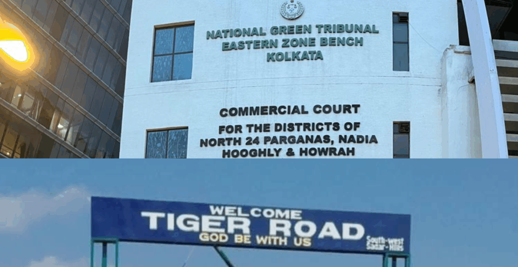 Environmental alarm: NGT stops Manipur ring road project until next hearing