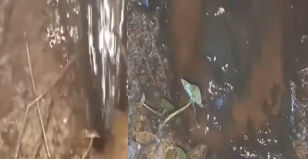 Massive crude spill in Dibrugarh after Oil India pipeline burst, villagers alarmed