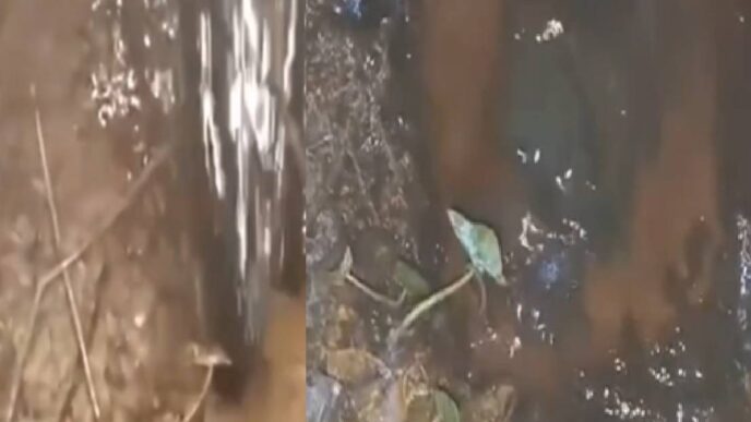 Massive crude spill in Dibrugarh after Oil India pipeline burst, villagers alarmed