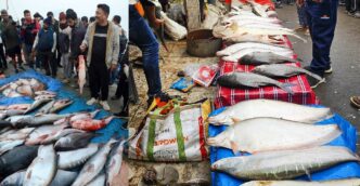 Uruka rush grips Assam, fish markets witness unprecedented crowds