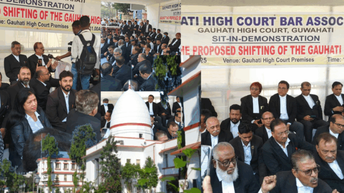 Who gave Assam government the right to move the High Court? Lawyers cite Central Law