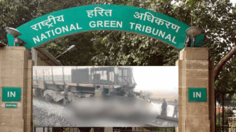 NGT demands replies after seven elephants killed in Rajdhani Express accident near Guwahati